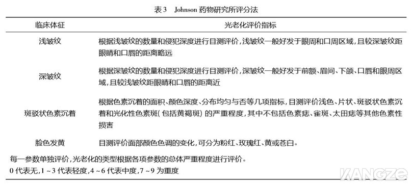 Johnson药物研究所分型评分法(表3)