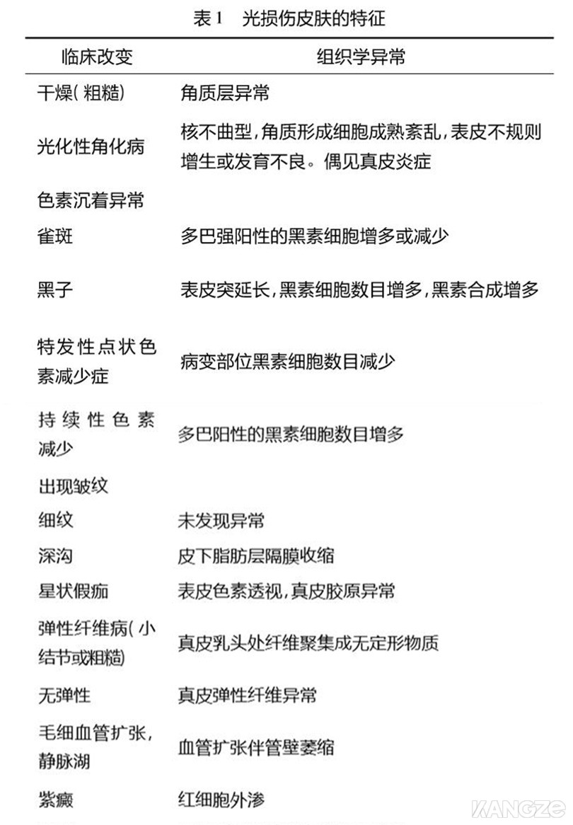 光损伤皮肤的临床及组织学改变（见表1）